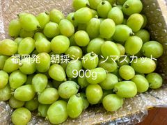 クール便朝採り完熟シャインマスカット850g 糖度18〜23度