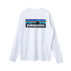 日本直販antake様専用 パタゴニア Tシャツ 新品 Tシャツ/カットソー(半袖/袖なし)