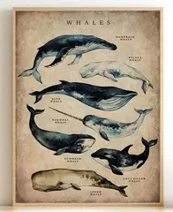 2025年最新】kuzira ポスターの人気アイテム - メルカリ