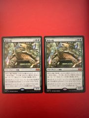 MTG 開花の亀 ２枚セット (WOE JP) - メルカリ