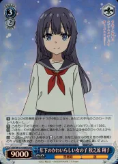 2025年最新】青ブタ デッキの人気アイテム - メルカリ