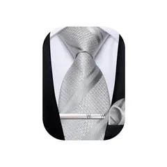 [DiBanGu] ネクタイ シルバーグレー 結婚式 ストライプ ポケットチーフ タイピン 洗濯可能 イージーケア