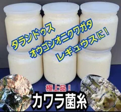 極上！カワラタケ菌糸瓶【5本】特殊アミノ酸強化配合！タランドゥス・オウゴンオニに 楽天市場】◇N-1400 カワラタケ系菌糸ビン！1400CC！1本目に