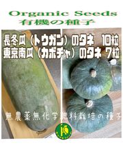 長冬瓜（トウガン）のタネ10粒と東京南瓜のタネ10粒　無農薬無化学肥料栽培のタネ