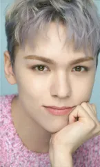 SEVENTEEN VERNON ALWAYS YOURS 2023 FOLLOW to JAPAN UMS会場限定 トレーディングカード 大阪