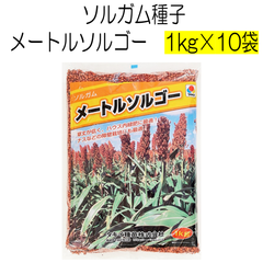 ソルガム種子　メートルソルゴー　10kg　タキイ種苗【種】緑肥の種　夏に強い緑肥