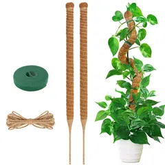 ⚠️希少⚠️ヘゴ 支柱 ヘゴ棒 80cm ヘゴ板 観葉植物 10本