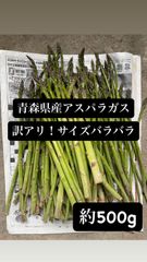 青森県産アスパラガス　サイズバラバラ　約500g