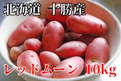 【じゃがいもよりサツマイモに近い味わい】北海道 十勝産 レッドムーン 土付き S~Lサイズ じゃがいも 芋 ジャガイモ 浦幌町 (10kg)