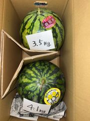 北海道沖縄離島追加送料無し　熊本県産すいか《春爽赤3.5kg》《金色羅皇4.1kg》現品販売