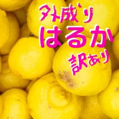 2024年最新】訳ありレモンの人気アイテム - メルカリ