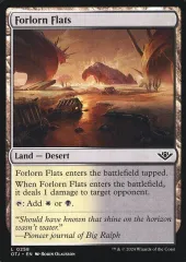 【中古】マジックザギャザリング 0258[L]：【OTJ】Forlorn Flats/荒れ果てた干潟
