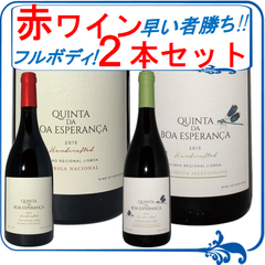 今しか手に入らない!? フルボディの赤ワイン ２本セット【ポルトガル】【赤ワイン 】【フルボディ】【750ml】【２本セット】