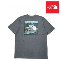ノースフェイス Tシャツ US限定 ボックスロゴ グレー 180902
