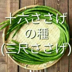 2024年最新】長いいんげんの人気アイテム - メルカリ