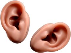 Item thumbnail for item 5a9db1e3-bf9e-43a5-a973-7b98f4fa2fad