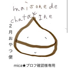mica★プロフ確認お願いします様専用　おやつ便　シフォンケーキサンド　チーズケーキ　テリーヌ