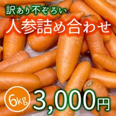 大阪エコ農産物認証　形不揃い人参6kg（約40本）