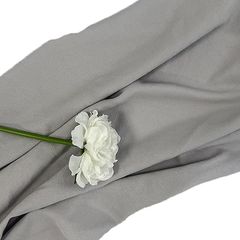 Item thumbnail for item ef8b0a7b-650c-4bff-a63b-0f4050751dda