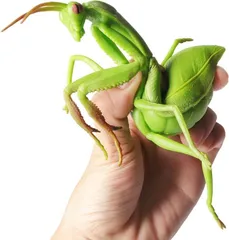 【在庫処分】MAIBED ストレス解消 おもちゃ カマキリ 蟷螂 節足動物門 網翅目 昆虫 プラモデル 模型 リアル TPR材質 ソフト 自然認知 現実的 情景コレクション プレゼント 装飾用 飾り 撮影道具