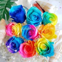 ローズアソート❁⃘*.ﾟ9輪 花材 プリザーブドフラワー