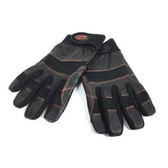 Item thumbnail for item 9e1d95e4-7420-475b-8ed1-0461ae4f7ca1