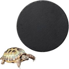 Item thumbnail for item 9a24e080-f07a-4d26-8585-7468a3aa4f5d