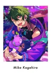 2025年最新】影片みか ぱしゃっつ vol.4の人気アイテム - メルカリ