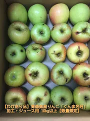 【タイムセール！わけあり品】青森県産りんご「ぐんま名月」加工・ジュース用 10kg以上【数量限定】