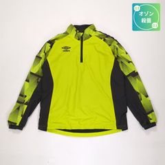 Item thumbnail for item f593673a-3428-437b-a611-e144b85f6fd2