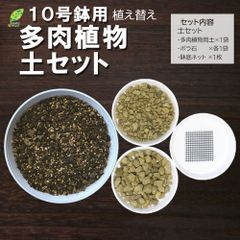 培養土 【多肉植物土セット】 10号鉢用 植え替え 多肉植物 土 室内用 観葉植物 鉢植え 赤玉土 鹿沼土 日向土 くん炭 バーミキュライト 底ネット ボラ石 送料無料 [植え替えオプション]