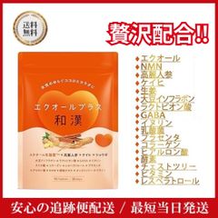 エクオールプラス和漢 エクオール イソフラボン NMN 高麗人参 GABA イヌリン ３種類の和漢成分と２４種類の美容成分配合 国内製造 90粒 30日分 美容 サプリ サプリメント 女性 ヒアルロン酸 コラーゲン プラセンタ