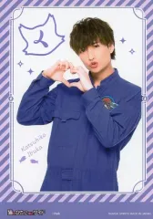 2025年最新】猫のひたいほどワイドの人気アイテム - メルカリ