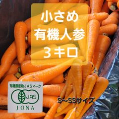 Ｍ～Ｓサイズ小さめ有機人参(訳有り、機械キズ)　３キロ