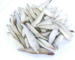 わかさぎ 1kg ＩＱＦ　公魚 ワカサギ・冷凍わかさぎ・