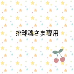 排球魂さま専用