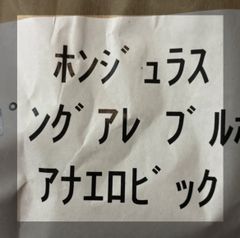 生豆 800g  限定1セット　ホンジュラス　テパングアレ　ブルボン　アナエロビック