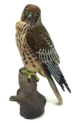 2026年最新】チョウゲンボウの人気アイテム - メルカリ