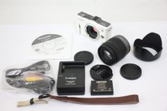 【返品保証】 パナソニック Panasonic LUMIX DMC-GF2 ホワイト 14-42mm F3.5-5.6 バッテリー チャージャー付き ミラーレス一眼  e460