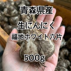 グッチ 銀座 三越 熊本産新鮮野菜新じゃがインカのめざめ約4.8k