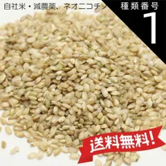 鳥のエサ　 非食用　30kg　くず米 鳥のエサ 非食用 30kg くず米 くず米 鳥の餌のおすすめ人気商品一覧