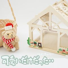 訳あり キャリー ハムスター ハウス 移動 ケージ 木製 写真 インテリア かわいい キャリー 大きめ スケルトン ハウス