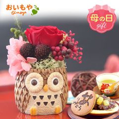 【おいもや公式】母の日限定 一寸 【ふくろう(茶色)】動物 置物 どら焼き プリザーブドフラワー おしゃれ 可愛い スイーツ お菓子 和菓子 インテリア 雑貨 造花 ミニ (お届け時期:5/5～11のいずれか)