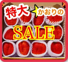 2025年最新】かんちゃん農園の人気アイテム - メルカリ