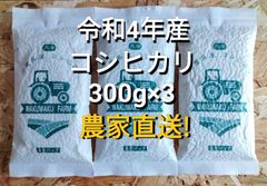 令和4年産コシヒカリ 300g×3 農家直送！キャンプ米、お土産に！！