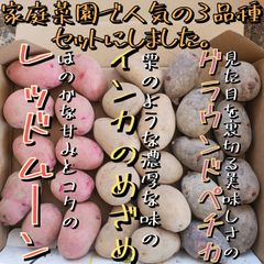 種芋利用 ◯ 家庭菜園で種芋としても人気の3品種　『グランドペチカ』『デストロイヤー』『インカのめざめ』『レッドムーン』各300g以上　合計１kgを目安に箱詰めして発送します。
