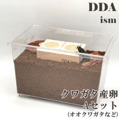 ＼6点フルセット／  産卵マニュアル付き！【DDA】クワガタ産卵Ａセット ケース 産卵マット 産卵木 ゼリー えさ皿 足場木 床材 入り dda クワガタ カブトムシ 昆虫 産卵セット 飼育セット 自由研究