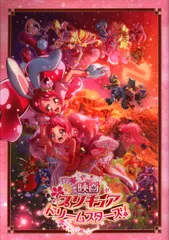 東映 アニメパンフレット 映画プリキュアドリームスターズ! 2017年