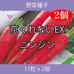 野菜種子 TVF03 京くれないEXニンジン 11粒 x 2個