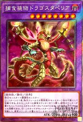 捕食植物ドラゴスタペリア【エクストラシークレット】のサムネイル